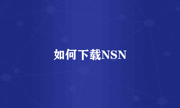 如何下载NSN