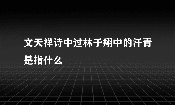 文天祥诗中过林于翔中的汗青是指什么