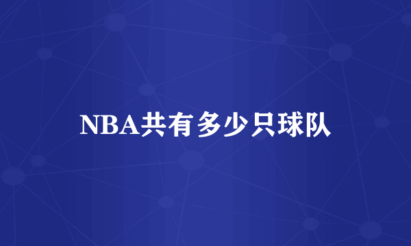 NBA共有多少只球队