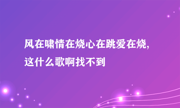 风在啸情在烧心在跳爱在烧,这什么歌啊找不到