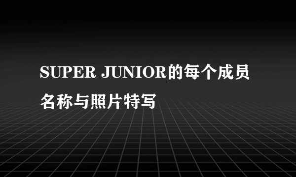 SUPER JUNIOR的每个成员名称与照片特写