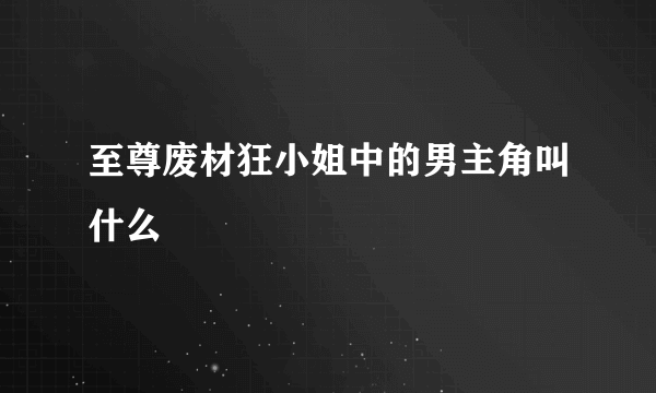 至尊废材狂小姐中的男主角叫什么