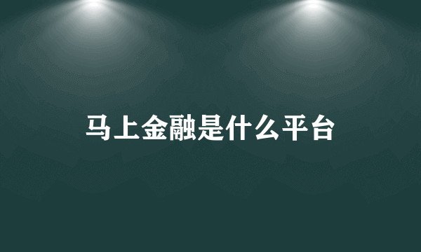 马上金融是什么平台