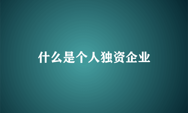 什么是个人独资企业