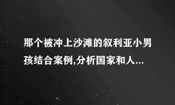 那个被冲上沙滩的叙利亚小男孩结合案例,分析国家和人民的关系？