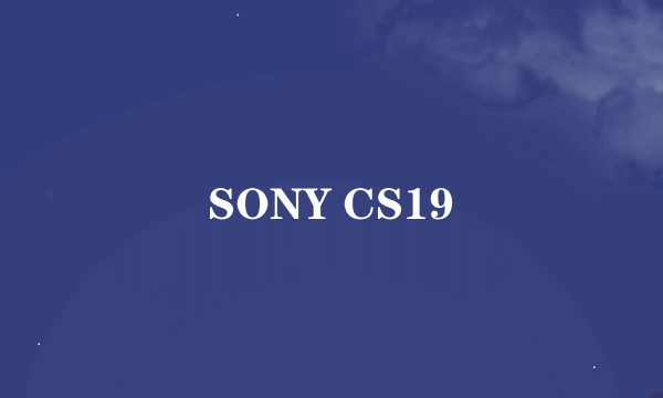 SONY CS19