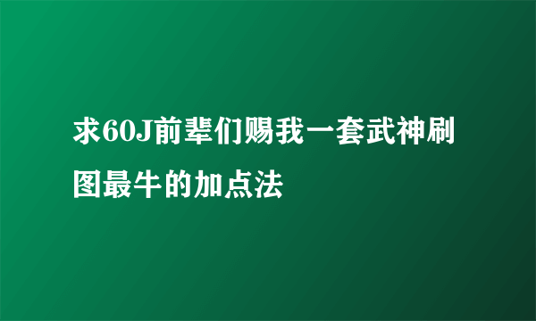 求60J前辈们赐我一套武神刷图最牛的加点法