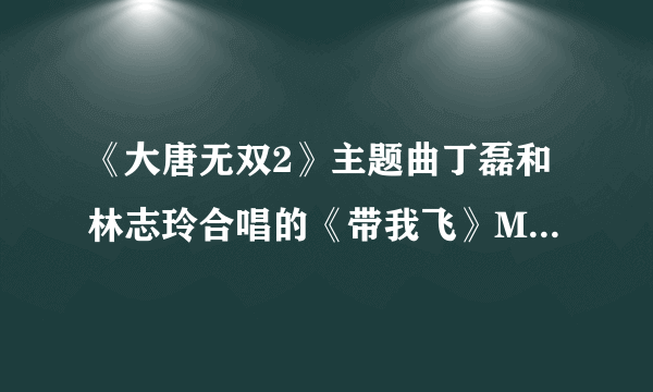 《大唐无双2》主题曲丁磊和林志玲合唱的《带我飞》MV里从头到尾没有露过正面的男主角是谁？