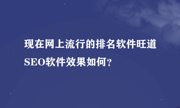 现在网上流行的排名软件旺道SEO软件效果如何？