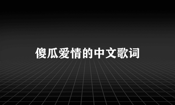 傻瓜爱情的中文歌词