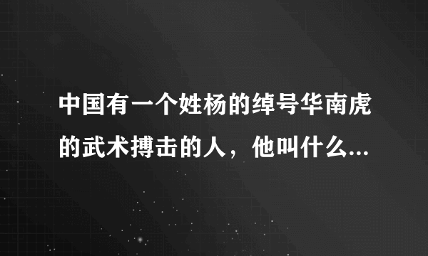 中国有一个姓杨的绰号华南虎的武术搏击的人，他叫什么名了，跪求各位 告诉我吧！！！