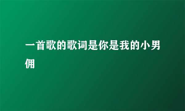 一首歌的歌词是你是我的小男佣