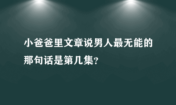 小爸爸里文章说男人最无能的那句话是第几集？