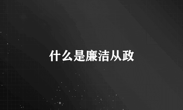 什么是廉洁从政