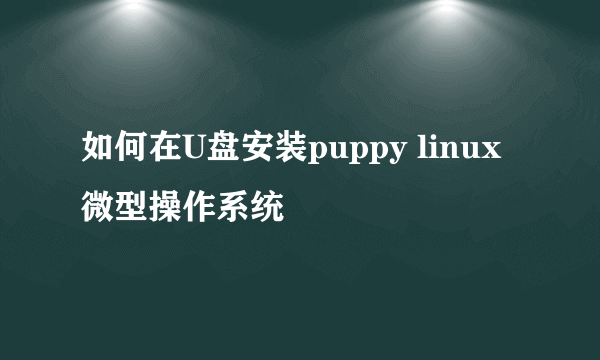 如何在U盘安装puppy linux微型操作系统