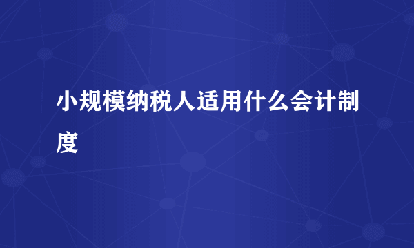 小规模纳税人适用什么会计制度