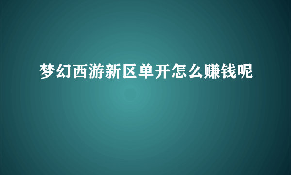 梦幻西游新区单开怎么赚钱呢