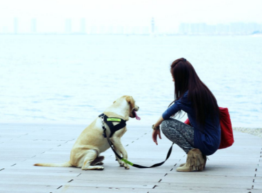 武汉一女子与遛狗邻居起冲突后轻生，百名业主悼念，现场情况如何？