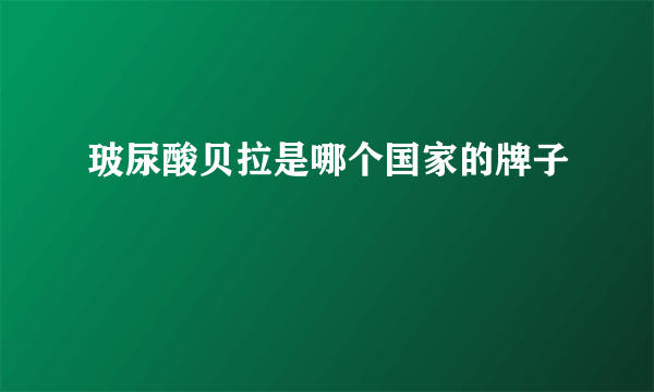 玻尿酸贝拉是哪个国家的牌子