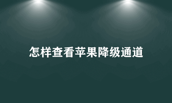 怎样查看苹果降级通道