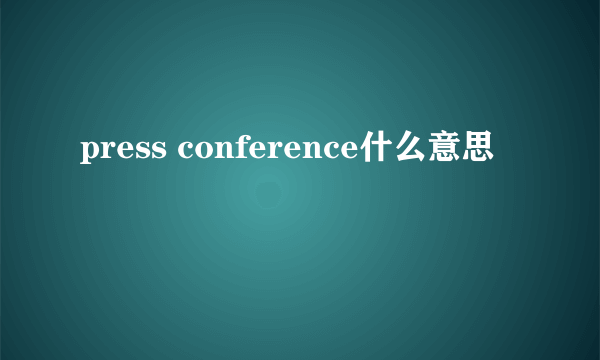 press conference什么意思