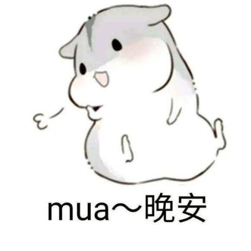 Mua是什么意思？