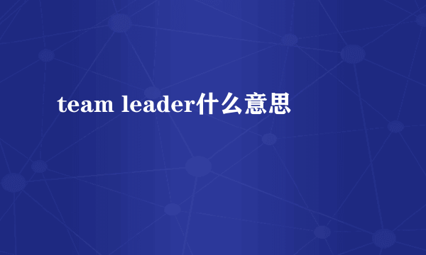 team leader什么意思