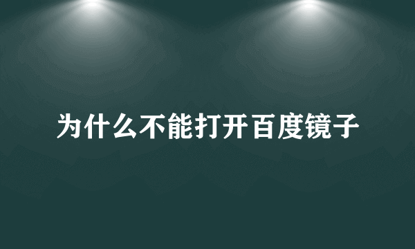 为什么不能打开百度镜子