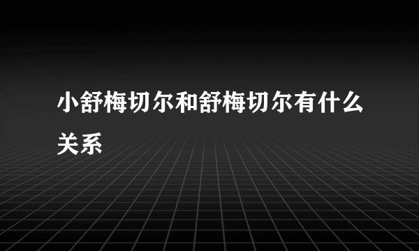 小舒梅切尔和舒梅切尔有什么关系