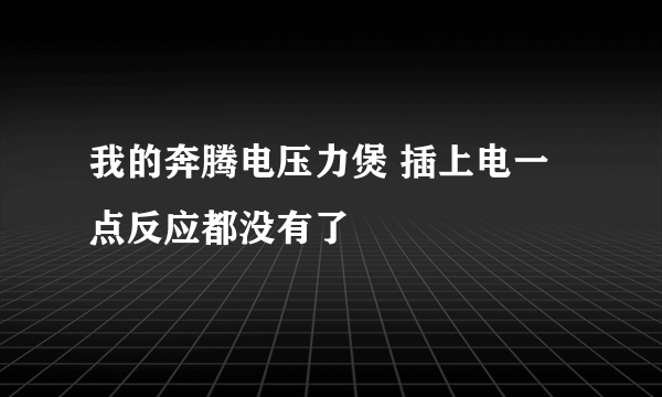 我的奔腾电压力煲 插上电一点反应都没有了