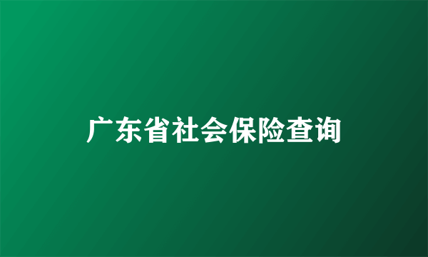 广东省社会保险查询