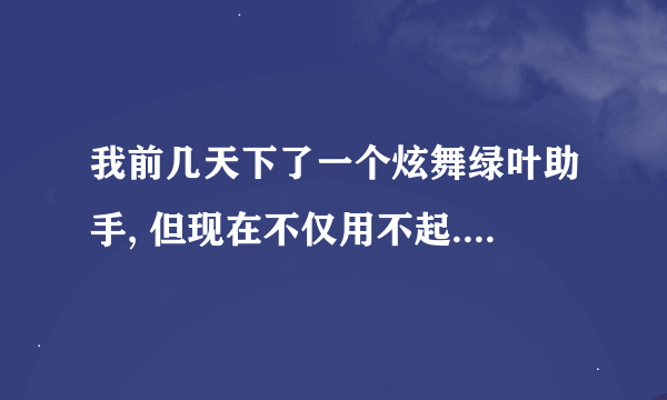 我前几天下了一个炫舞绿叶助手, 但现在不仅用不起.... - -, 连炫舞都打不开了. 这是怎么回事呐.?