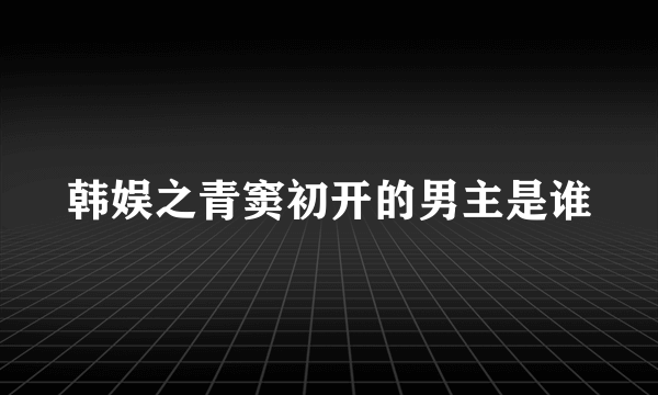 韩娱之青窦初开的男主是谁