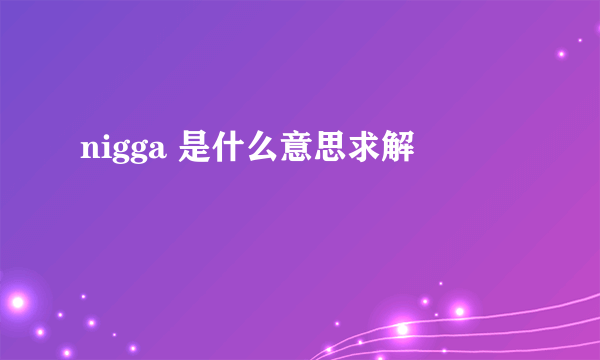 nigga 是什么意思求解