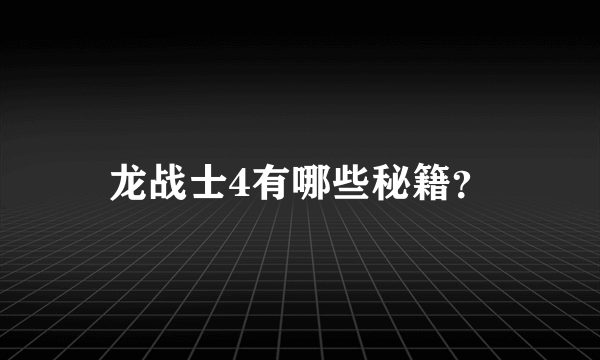 龙战士4有哪些秘籍？