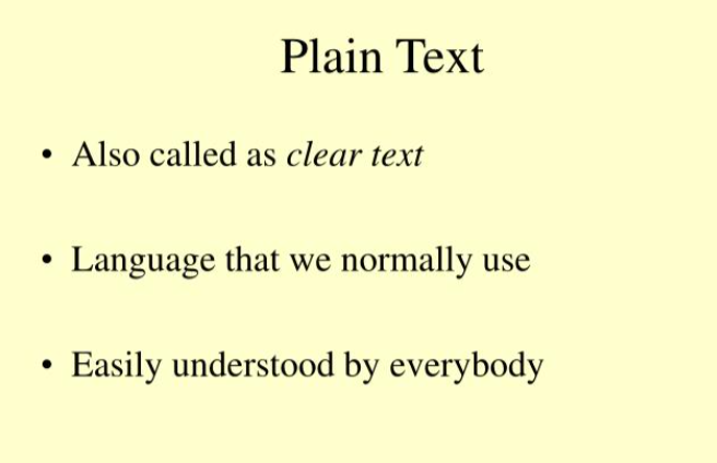 plain text用什么打开