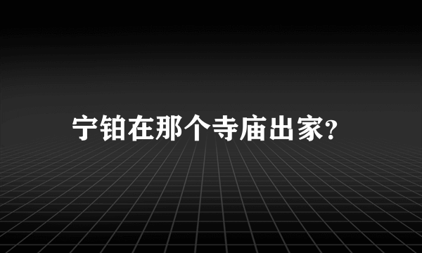 宁铂在那个寺庙出家？