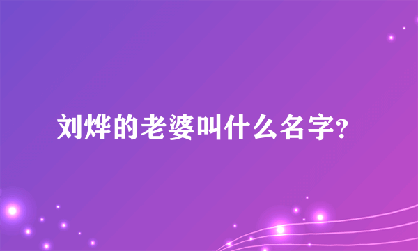 刘烨的老婆叫什么名字？