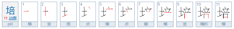 培怎么读