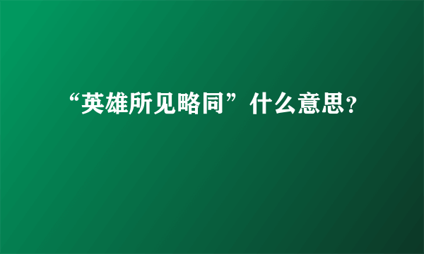 “英雄所见略同”什么意思？