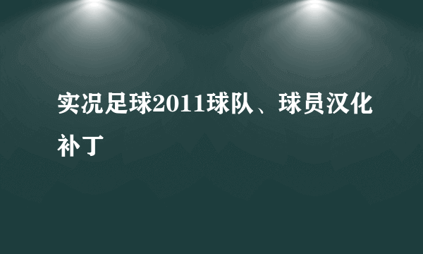 实况足球2011球队、球员汉化补丁