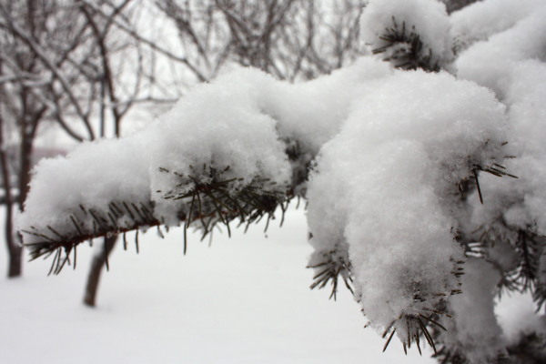 北方暴雪南方多地气温超31度，为何南北温差这么大?