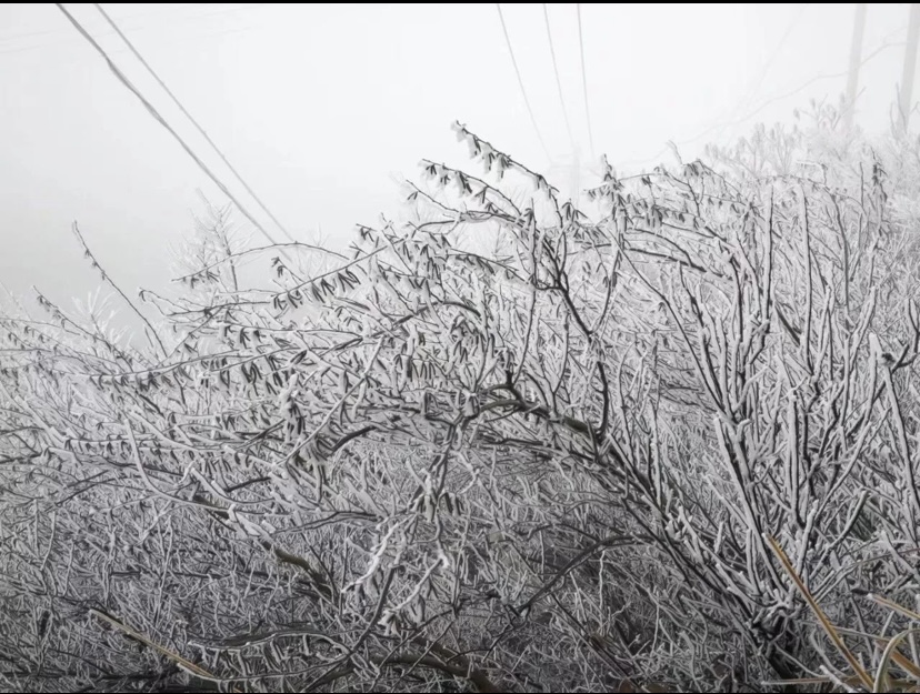 哈尔滨暴雪过后又来冻雨，这种极端天气以后会越来越频发吗？