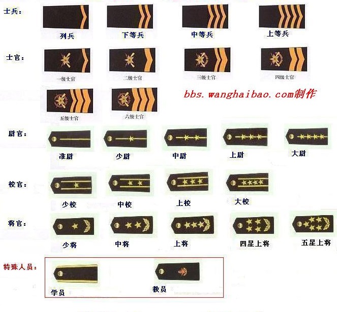 中国陆军军衔等级及标志分别是什么？