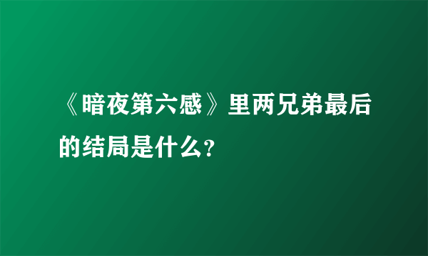 《暗夜第六感》里两兄弟最后的结局是什么？