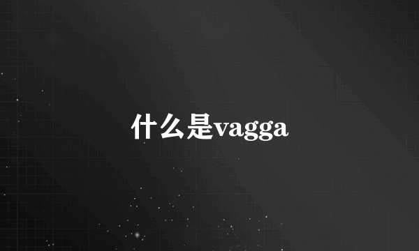 什么是vagga