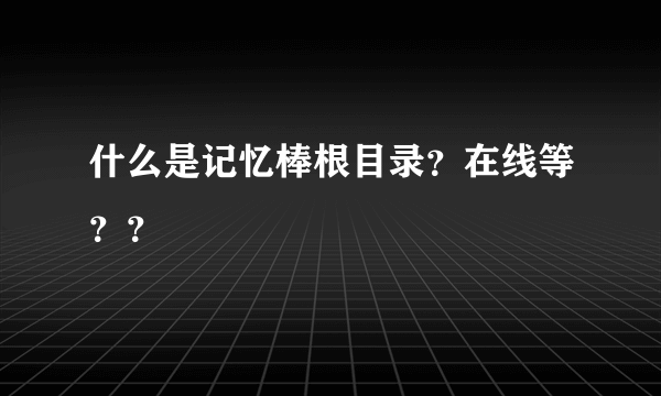 什么是记忆棒根目录？在线等？？