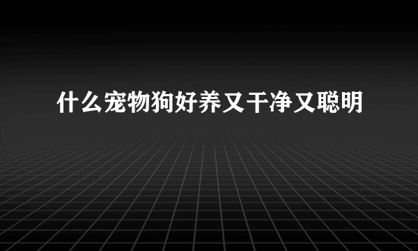 什么宠物狗好养又干净又聪明