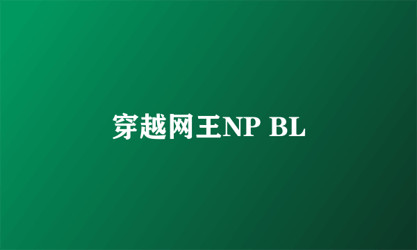 穿越网王NP BL