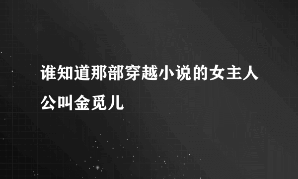 谁知道那部穿越小说的女主人公叫金觅儿